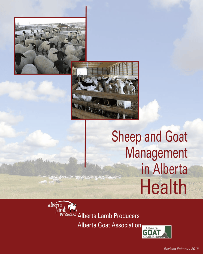 Sheep and Goat Management in Alberta - Health.