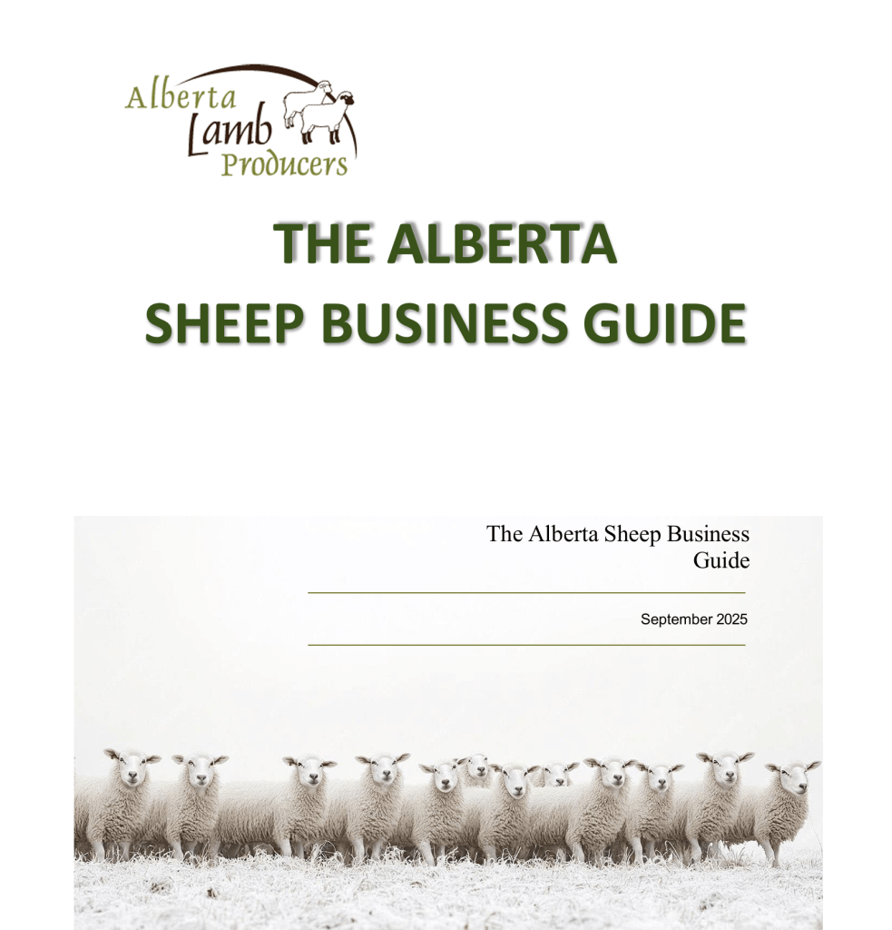 The Business of Sheep module.