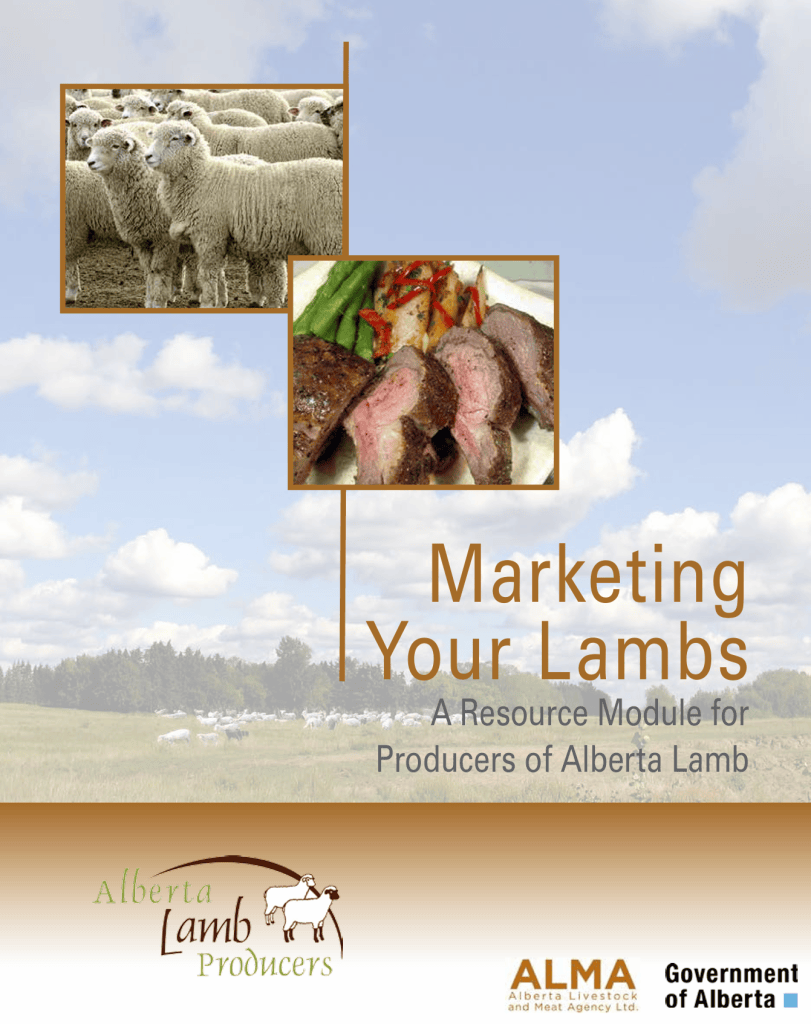 module marketing