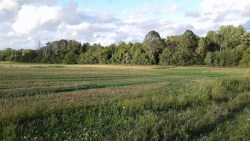 August 2020 Forage Report