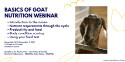 Goat Nutrition Webinar Series – November 2021