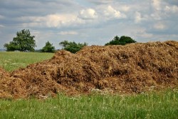 Changes under the Nutrient Management Act are here!