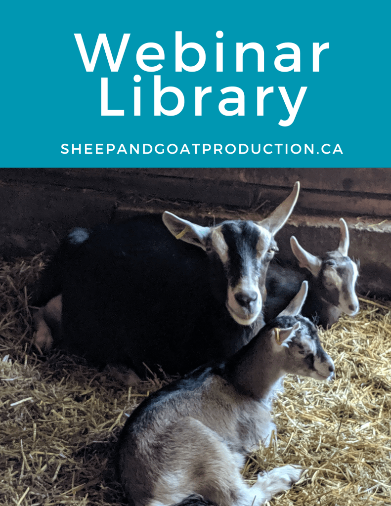 A doe with her two goat kids lying in a straw pack with the banner "Webinar Library sheepandgoatproduction.ca" written above with white on teal background. 