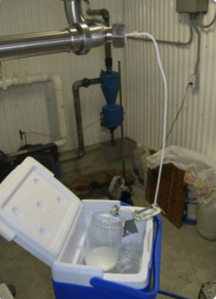 A sample is being collected from a milk line using a sample elbow. The sample elbow is attached in a bend in the milk line, and has a small tube coming out of it. This tube empties into a jar sitting in a cooler with ice.