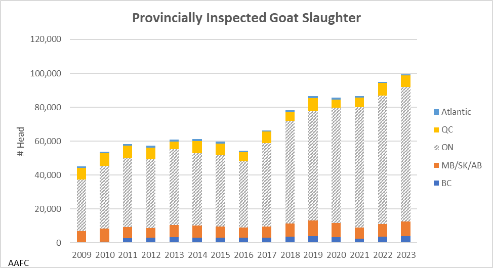 This graph shows the Canadian provincially inspected goat slaughter per year by province categories from 2009 to 2023. Most goat slaughter was in Ontario in all years followed by the west, then Quebec and only a handful in the atlantic provinces.