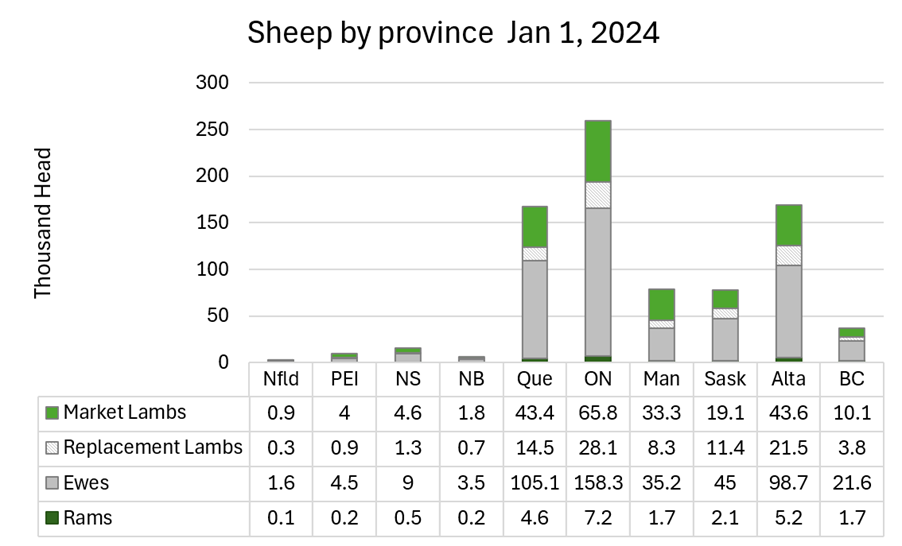 This bar graph shows a stacked bar for each province with number of rams, ewes, replacement lambs and market lambs stacked for a total. Ontario has the largest number of animals followed by Alberta and Quebec. Manitoba and Saskatchewan have about 78,000 animals, British Columbia around 37,000 animals and the maritime provinces with lower numbers 2900 in Newfoundland, 6200 in New Brunswick, 9600 in Prince Edward Island and 15,400 in Nova Scotia.