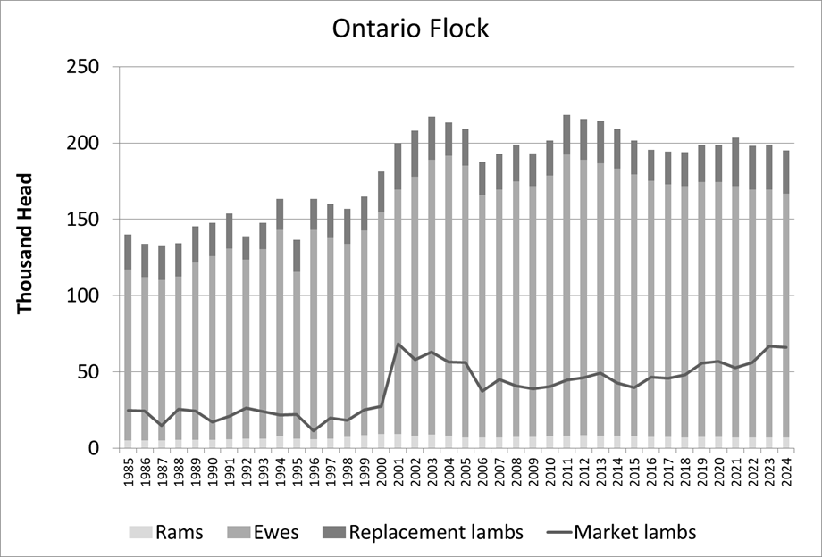 This bar graph shows the number of rams, ewes and replacement lambs as a stacked bar graph and the number of market lambs as a line from 185 to 2024. 1995 to 1998 shows slow growth in breeding animals from around 140 thousand to 160 thousand. Then fast growth from 1999 to 2003 to around 220 thousand. 2006-2009 below 200 thousand back up to about 220 thousand for 2011-2013 and has hovered just below 200 thousand most years since then.