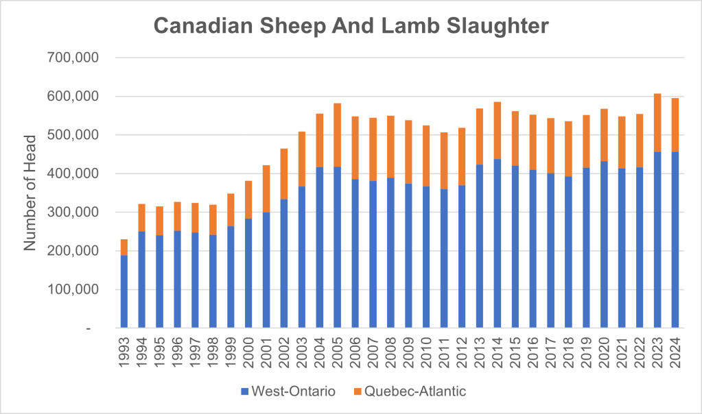 This bar chart shows the number of head of Canadian sheep and lamb slaughter by year from 1993 to 2024. The stacked bar compares West and Ontario to Quebec and Atlantic. The total slaughter ranges from 230,000 animals in 1993 to 595,000 animals in 2024. West and Ontario have about 3/4 of the slaughter volume each year. Slaughter volumes were about 320,000 from 1994-1998. From 1999-2005 slaughter volumes rose to 582,000 head then decreased over the next 7 years to about 515,000 head in 2012. Since then volumes have been around 560,000 head with a rise in 2023 to 607,000 head. 595,000 head was slaughter in 2024.