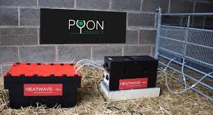 A Heatwaver milk warmer set up to feed. A storage container with milk feds into the milk warmer via hoses. Milk hoses leave the milk warmer to nipples in a pen.