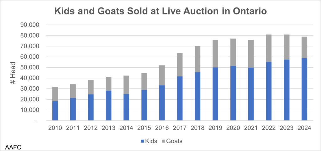 This graph shows the total number of kids and goats sold at live auction in Ontario from 2009 to 2024. The total number has increased steadily from just under 30,000 in 2009 to around 80,000 goats in 2022, 2023, and 2024.