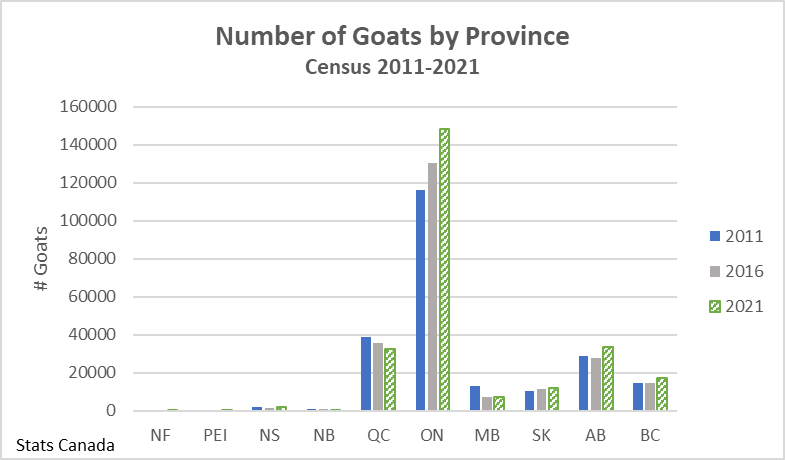 This graph shows the total number of goats for each province in 2011, 2016 and 2021 at the time of the census. Quebec and Manitoba numbers have decreased while all other provinces have increased or remained stable.