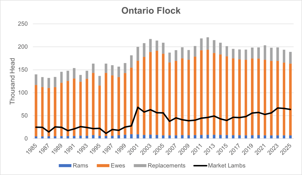 This bar graph shows the number of rams, ewes and replacement lambs as a stacked bar graph and the number of market lambs as a line from 185 to 2025. 1995 to 1998 shows slow growth in breeding animals from around 140 thousand to 160 thousand. Then fast growth from 1999 to 2003 to around 220 thousand. 2006-2009 below 200 thousand back up to about 220 thousand for 2011-2013 and has hovered just below 200 thousand most years since then, with a slight decrease in the last three years.
