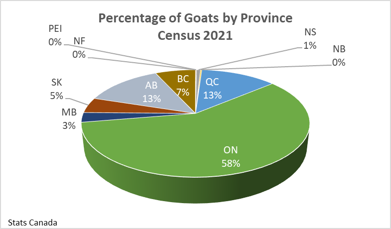 This image shows the percentage of goats in each province in Canada from census data in 2021. Ontario has 58%, Alberta and Quebec 13%, British Columbia 7%, Saskatchewan 5%, Manitoba 3% and Nova Scotia 1%.