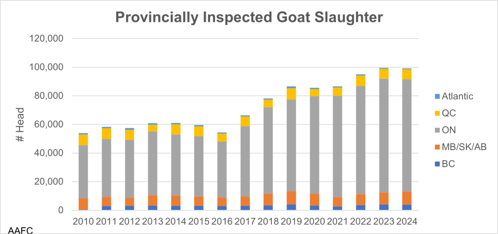 This graph shows the Canadian provincially inspected goat slaughter per year by province categories from 2009 to 2024. Most goat slaughter was in Ontario in all years followed by the west, then Quebec and only a handful in the Atlantic provinces. Almost 100,000 head was slaughtered in 2024.