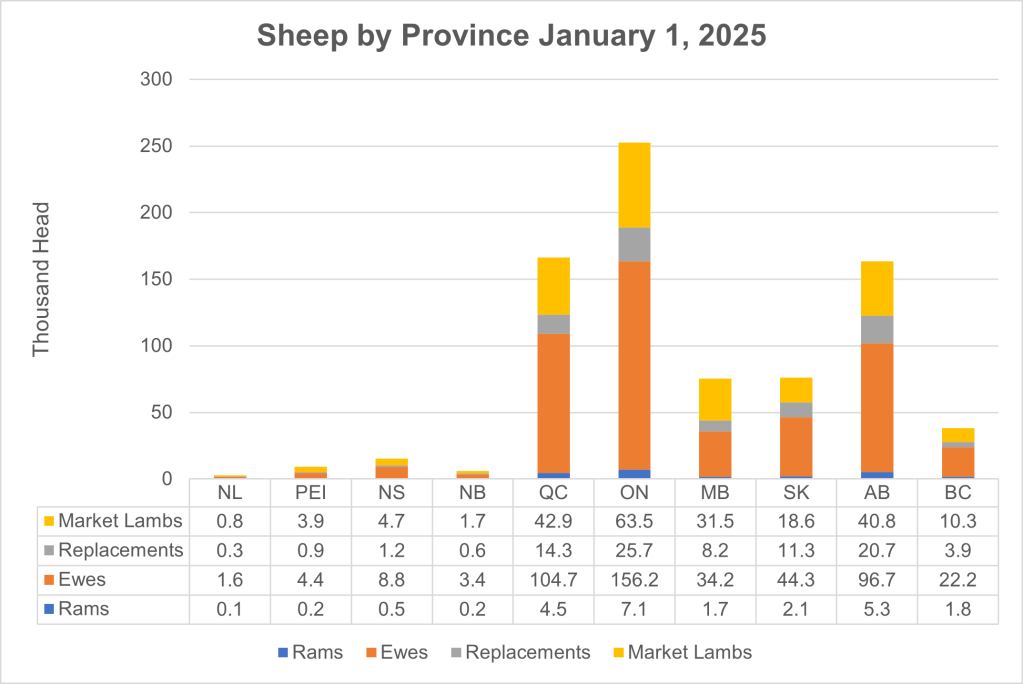 This bar graph shows a stacked bar for each province with number of rams, ewes, replacement lambs and market lambs stacked for a total. Ontario has the largest number of animals followed by Quebec and Alberta. Manitoba and Saskatchewan have about 76,000 animals, British Columbia around 38,000 animals and the maritime provinces with lower numbers 2800 in Newfoundland, 5900 in New Brunswick, 9400 in Prince Edward Island and 15,200 in Nova Scotia.